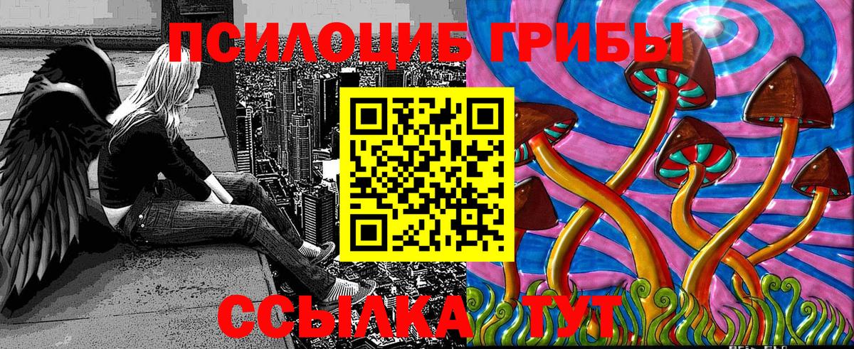 Псилоцибиновые грибы Psilocybe  Карталы 