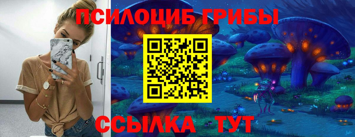 Галлюциногенные грибы Cubensis Карталы